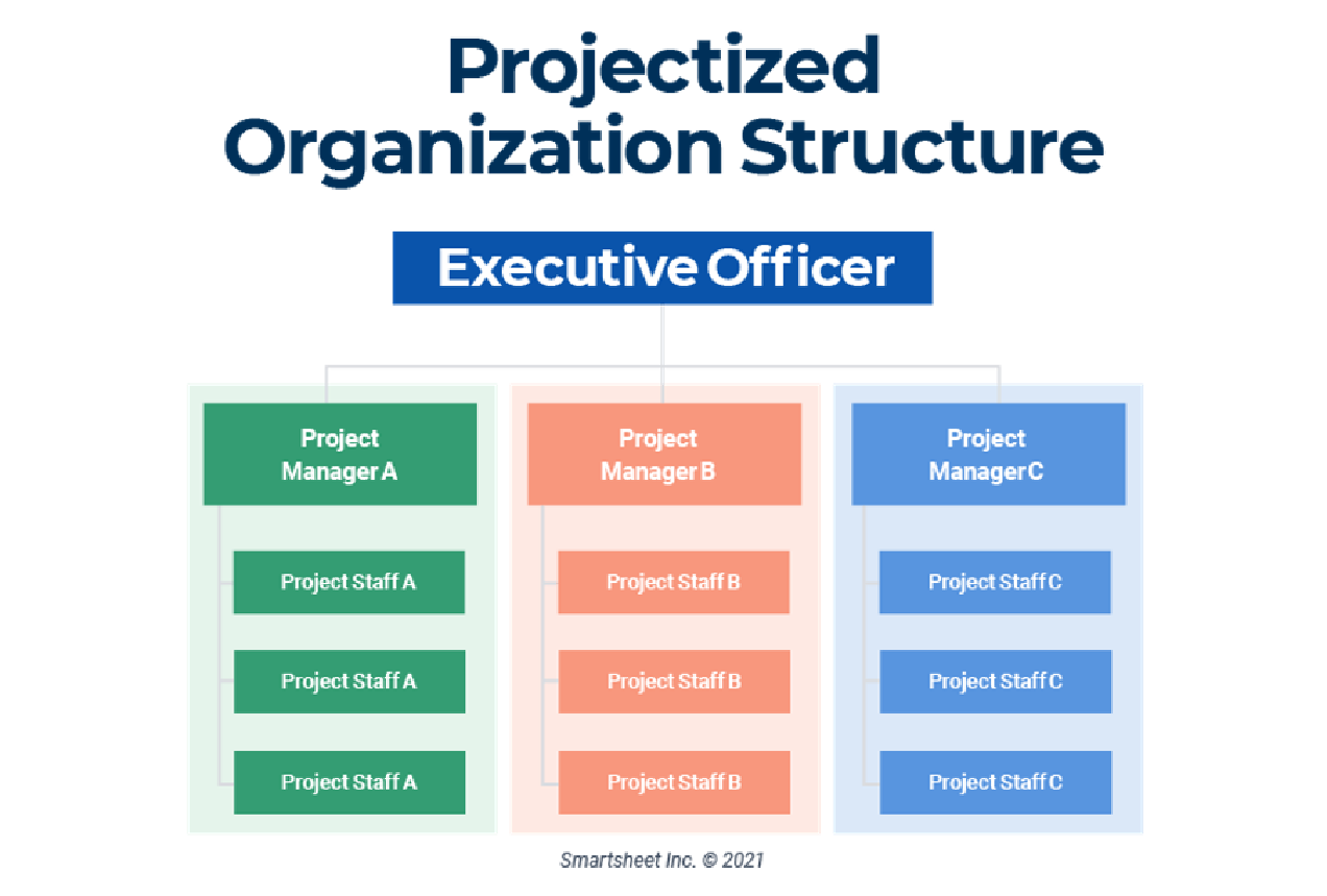 Types of Project Management Structure